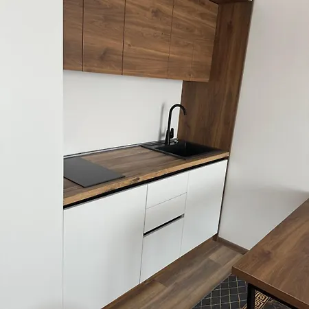 Aris Apartmens Raška